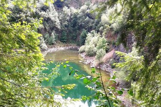 Blick von oben durch Bäume auf den Katzenbuckelsee | © Gemeinde Waldbrunn