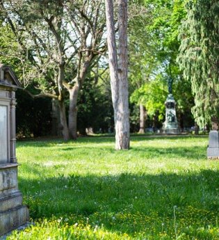 Geheimnisse des Alten Friedhofs