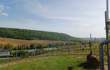 Geissberg Alm | Weinlodge am Geissberg | Eberstadt | Weinsberger Tal | © Tourismus im Weinsberger Tal