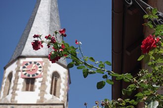Jakobus Stadtkirche Brackenheim | © Neckar-Zaber-Tourismus eV.