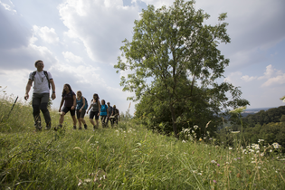 Gemeinsam statt allein – Maiwanderung am Abend | © Kraichgau-Stromberg Tourismus e.V.