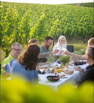 Genussabend im Weinberg