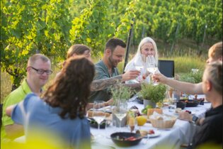 Genussabend im Weinberg