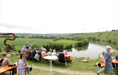 Genussfahrt an die Kirchheimer Weinterrasse | Planwagen Theo | © Touristikgemeinschaft HeilbronnerLand e.V.