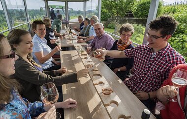 Theo | Planwagen- und Weinbergrundfahrten | Brackenheim | © Weingärtner Stromberg-Zabergäu