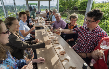 Rother Theo | Planwagen- und Weinbergrundfahrten | Brackenheim | © Weingärtner Stromberg-Zabergäu