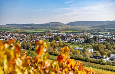 DSGVO NZT Güglingen Herbst WEB