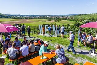 GenussWandern: Wein-Höhepunkte 2026 | © 3B Tourismus, Foto: Boris Lehner