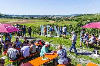 GenussWandern: Wein-Höhepunkte 2026 | © 3B Tourismus, Foto: Boris Lehner