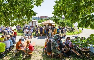 GenussWandern: Wein-Höhepunkte 2026 | © 3B Tourismus, Foto: Boris Lehner
