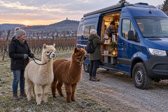 Glühweinwanderung durch die Weinberge von Ensingen. Ausschank von Glühwein an meinem Camper.