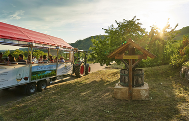 Löwen-Express | Planwagen- und Weinbergrundfahrten im Weinsberger Tal | © Tourismus im Weinsberger Tal & Winzer vom Weinsberger Tal