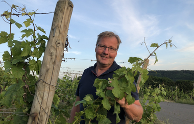 Ein Mann steht in  den Weinreben und lacht | © Touristikgemeinschaft Hohenlohe e. V. | Weingut Ungerer