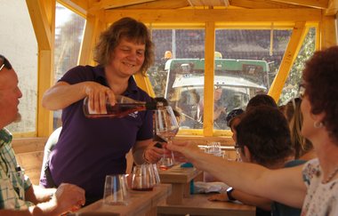 Weinbergrundfahrten Hoffmann | Planwagen- und Weinbergrundfahrten | HeilbronnerLand | © Winzerhof am Schlierbach