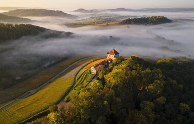 Glühweinfahrt | Planwagenfahrt Weingut Härle | © Touristikgemeinschaft HeilbronnerLand e.V.