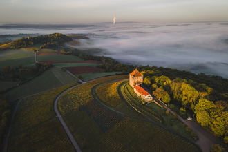 Glühweinfahrt | Planwagenfahrt Weingut Härle | © Touristikgemeinschaft HeilbronnerLand e.V.