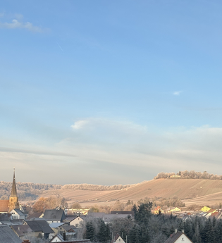 Weinberg im Winter | © Ute Schmidt