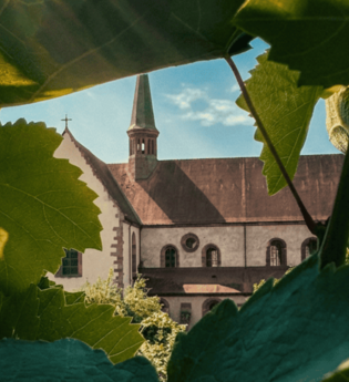 Kloster Bronnbach in den Weinreben | © Kloster Bronnbach
