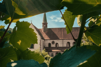 Kloster Bronnbach in den Weinreben | © Kloster Bronnbach