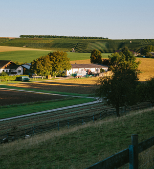 Das Weingut im Klee | Ilsfeld | Heilbronner Land | © Golter -Weingut im Klee GbR