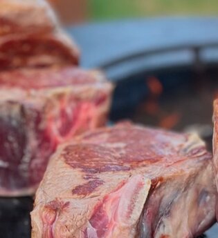 Grill & Wein | Im Schlosspark "bei Dippon´s"
