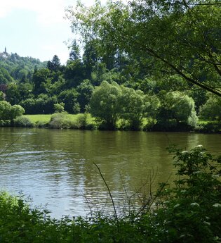Heidelberger Neckarbrücken