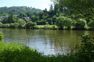 Heidelberger Neckarbrücken