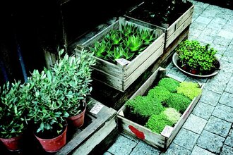 Heilbronner Garten-und Gesundheitstage | Gläserne Produktion 2026 | © Pixabay