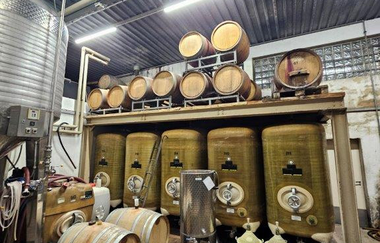 Heilbronner Tag der offenen Weingüter