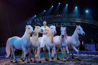 Heilbronner Weihnachtscircus