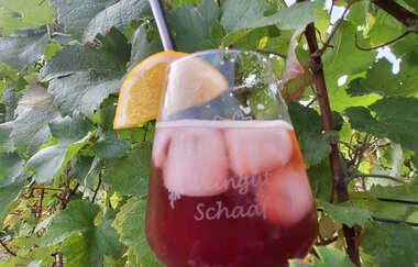 Herbst Vibes im Weingut Schaaf