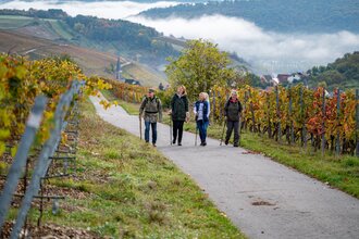 Herbstfrüchte und deren Zaubertrank | © Liebliches Taubertal