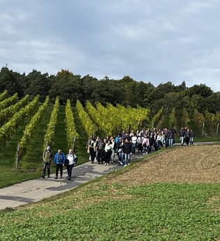 WeinWanderung