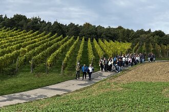 WeinWanderung