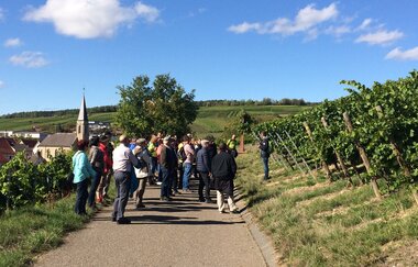 WeinWanderung Beckstein