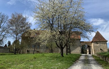 Hexenverfolgung im Kraichgau