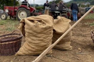 zwei gefüllte Kartoffelsäcke und eine Harke. Im Hintergrund ein Traktor und Personen