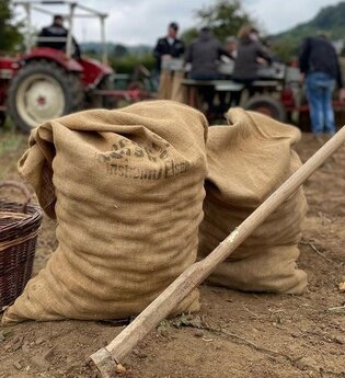 zwei gefüllte Kartoffelsäcke und eine Harke. Im Hintergrund ein Traktor und Personen