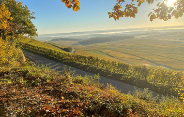 Waldschenke Hörnle - Wein- und Biergarten | © Waldschenke Hörnle | Jürgen Hönnige
