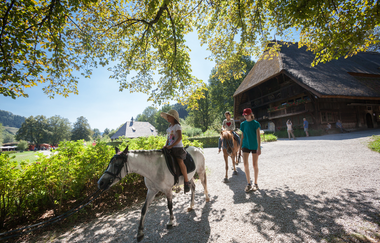 Hoffest "Angus trifft Wein" | Gläserne Produktion 2026 | © Schwarzwälder Freilichtmuseum Vogtsbauernhof