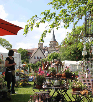 Hohenloher PARK Erlebnis