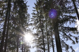 Hohenloher Waldprogramm: "Vortrag - Waldwirtschaft neu denken!?" | © TMBW