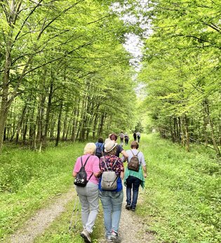 Hohenloher Waldprogramm: "Waldbaden - Natur bewusst erleben"