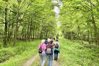 Hohenloher Waldprogramm: "Waldbaden - Natur bewusst erleben"
