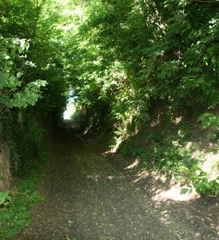 Hohlenpfad Tairnbach