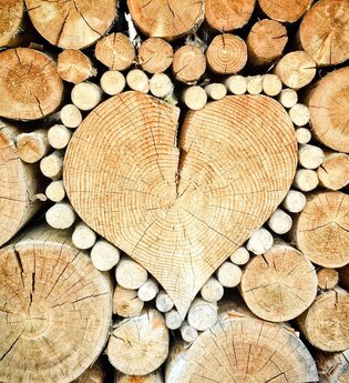 Holzwerkstatt
