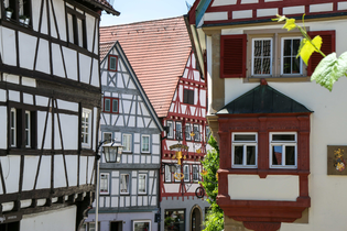 Holzwürmer und Schwalbenschwänze | © Stadt Bad Wimpfen