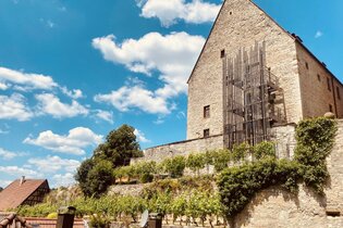 Historisches Gebäude mit Weinreben an einem sonnigen Tag. | © Stadt Besigheim