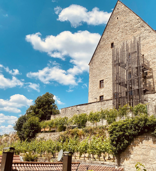 Historisches Gebäude mit Weinreben an einem sonnigen Tag. | © Stadt Besigheim