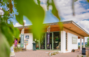 Jäger der Dunkelheit - Fledermäuse im Naturpark  Ausstellungseröffnung im Naturparkzentrum